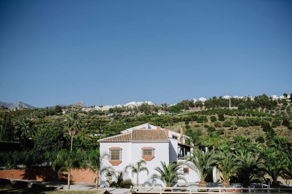 La Perla De Frigiliana Bed & Breakfast Deluxe Zewnętrze zdjęcie